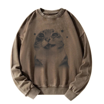 Funny Y2k Retro Cat Meme Washed Sweatshirt
