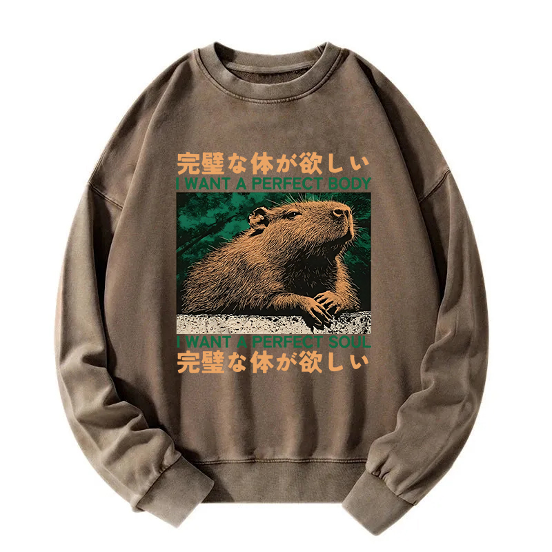 Capybara Wants The Perfect Body Washed Sweatshirt