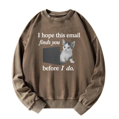 Funny Brainrot Cat Meme Washed Sweatshirt