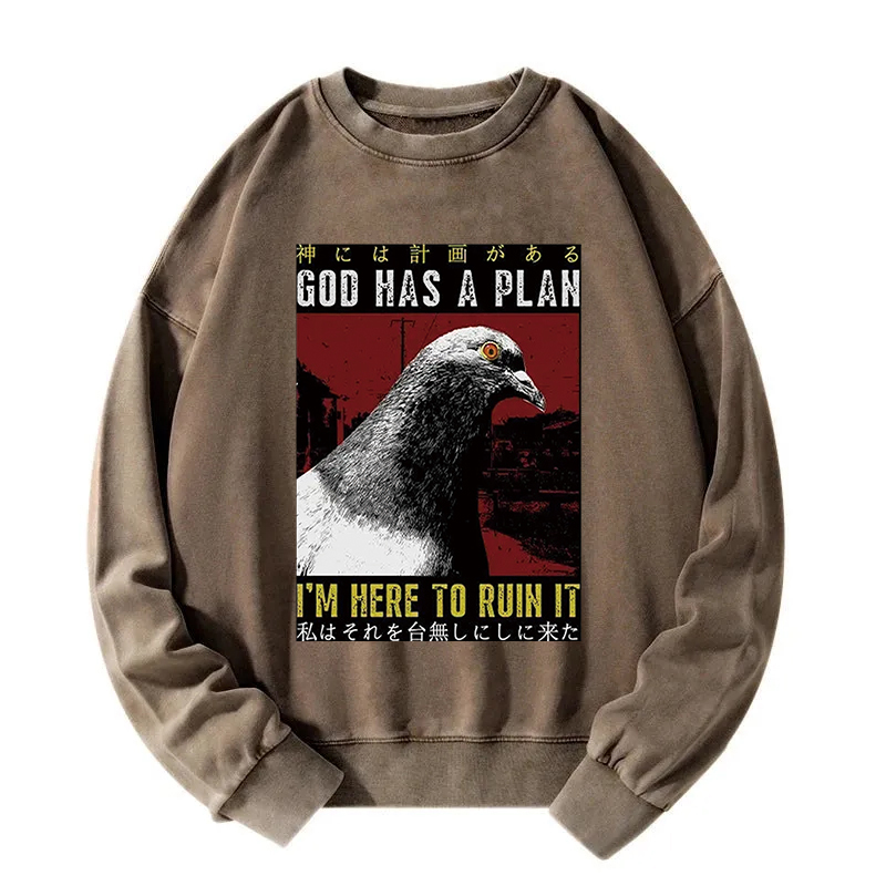 Pigeons That Want To Break The Plan Washed Sweatshirt