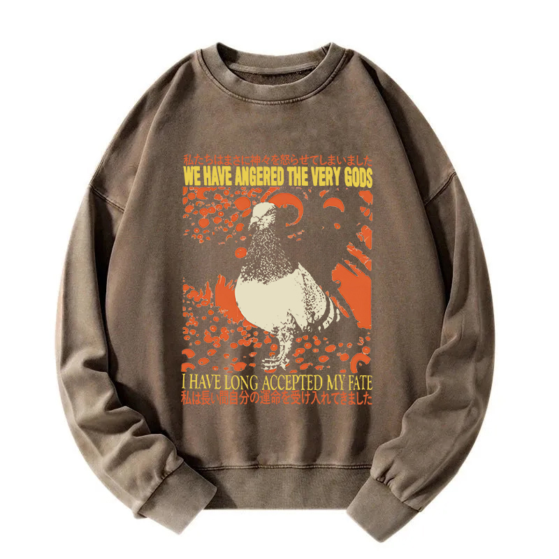 We Have Angered The Very Gods Washed Sweatshirt