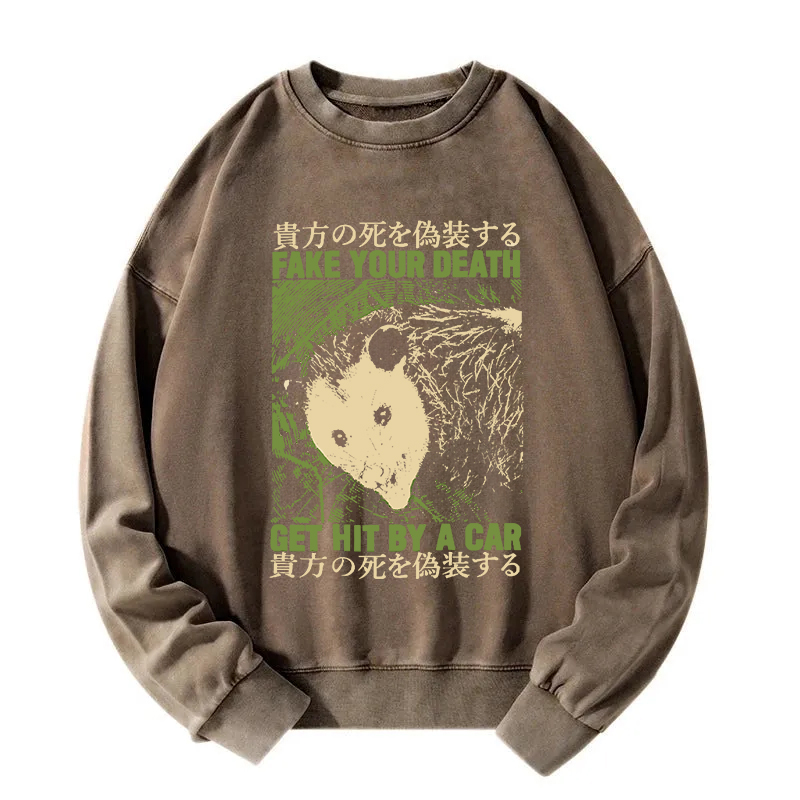 Fake Your Death Opossum Washed Sweatshirt