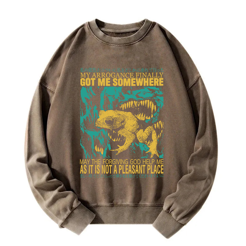 My Arrogance Vintage Japanese Frog Washed Sweatshirt