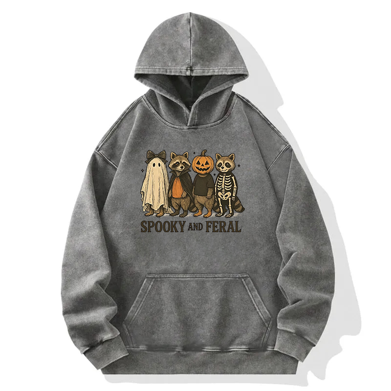 Funny Halloween Raccoon Washed Hoodie