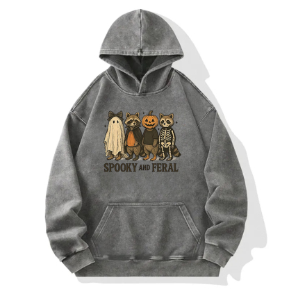 Funny Halloween Raccoon Washed Hoodie