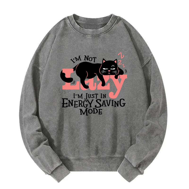 Energy Save Mode Cat Washed Sweatshirt