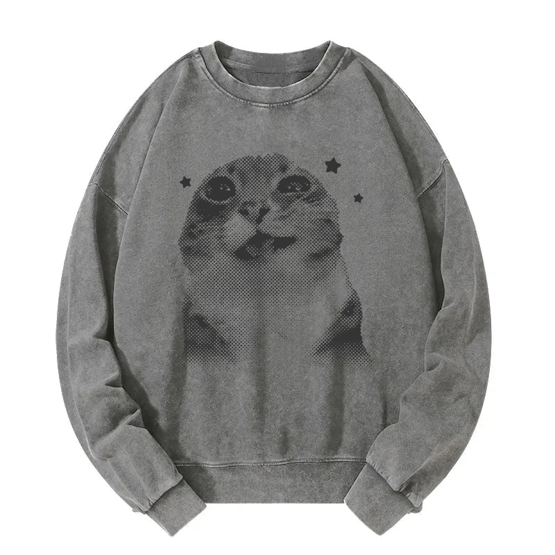 Funny Y2k Retro Cat Meme Washed Sweatshirt