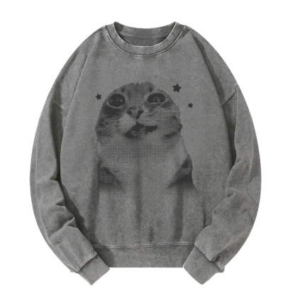 Funny Y2k Retro Cat Meme Washed Sweatshirt