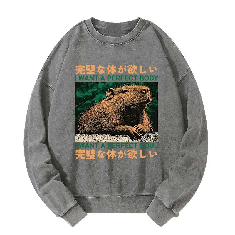 Capybara Wants The Perfect Body Washed Sweatshirt