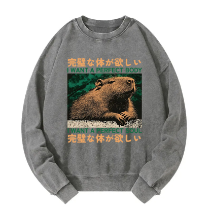 Capybara Wants The Perfect Body Washed Sweatshirt