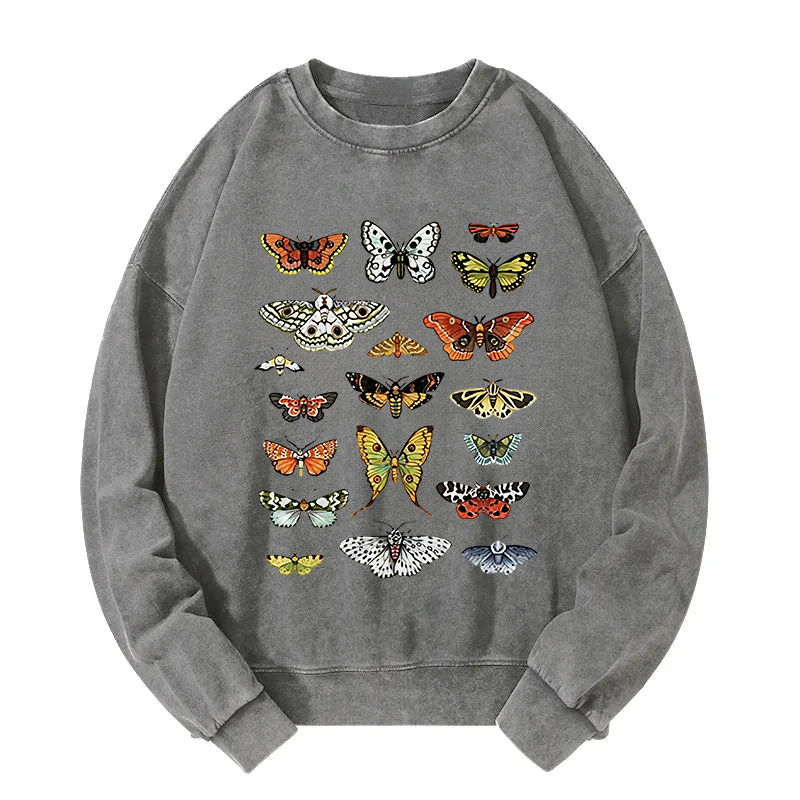 Butterfly History Washed Sweatshirt