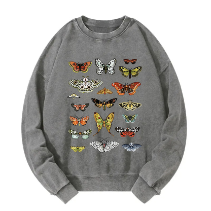 Butterfly History Washed Sweatshirt