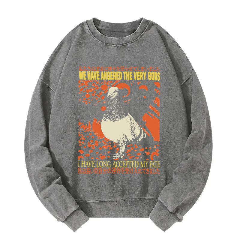 We Have Angered The Very Gods Washed Sweatshirt
