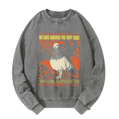 We Have Angered The Very Gods Washed Sweatshirt