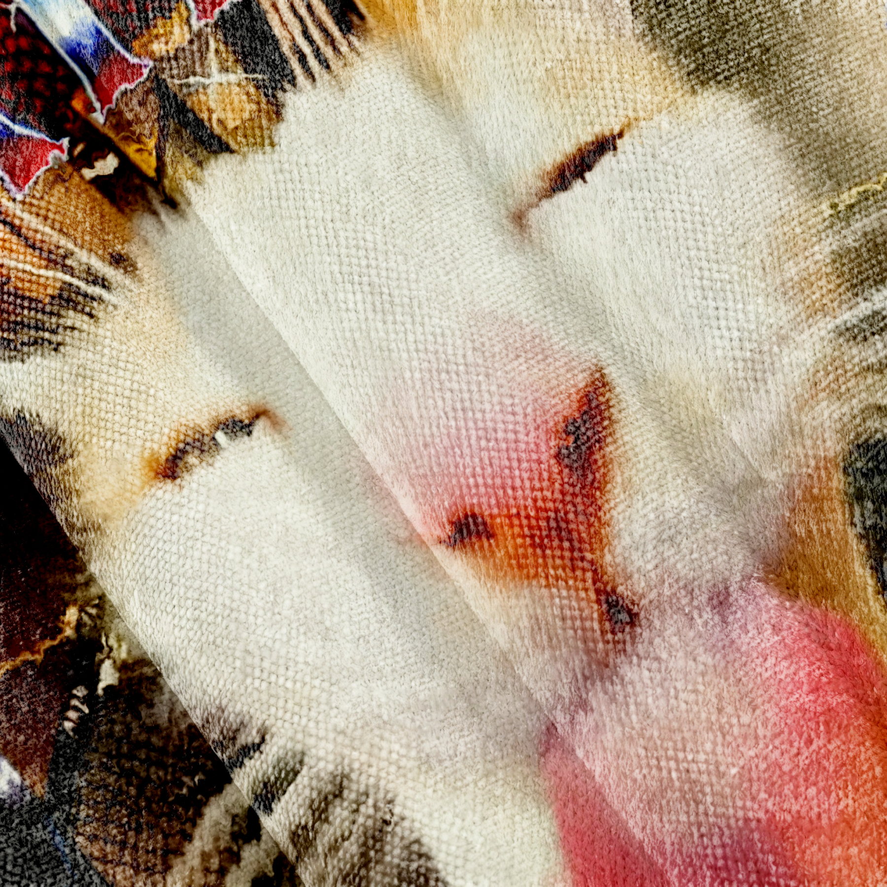 Certified Freak Funny Cat Meme Ugly Sweatshirt