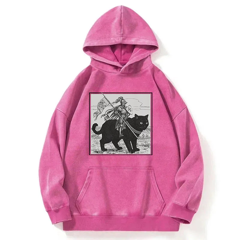 Renaissance Fair Knight Cat Rider Washed Hoodie