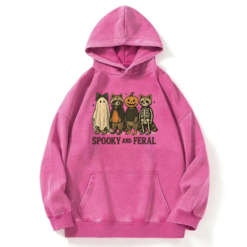 Funny Halloween Raccoon Washed Hoodie
