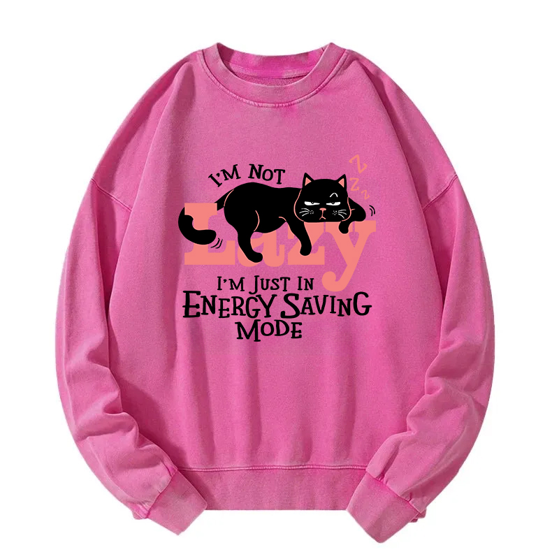 Energy Save Mode Cat Washed Sweatshirt