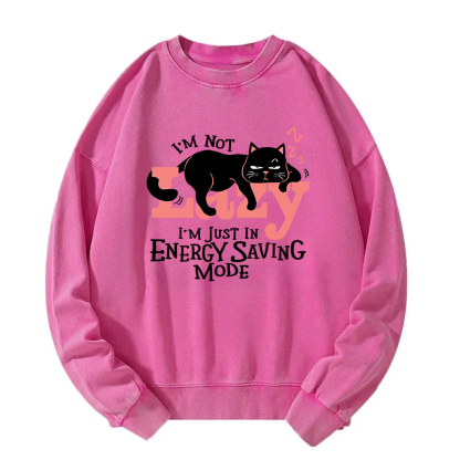 Energy Save Mode Cat Washed Sweatshirt