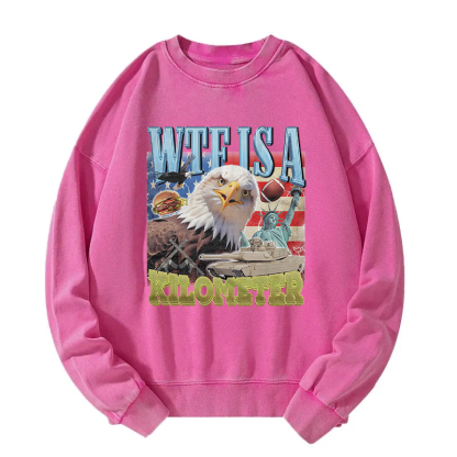 Funny Eagle Meme Washed Sweatshirt
