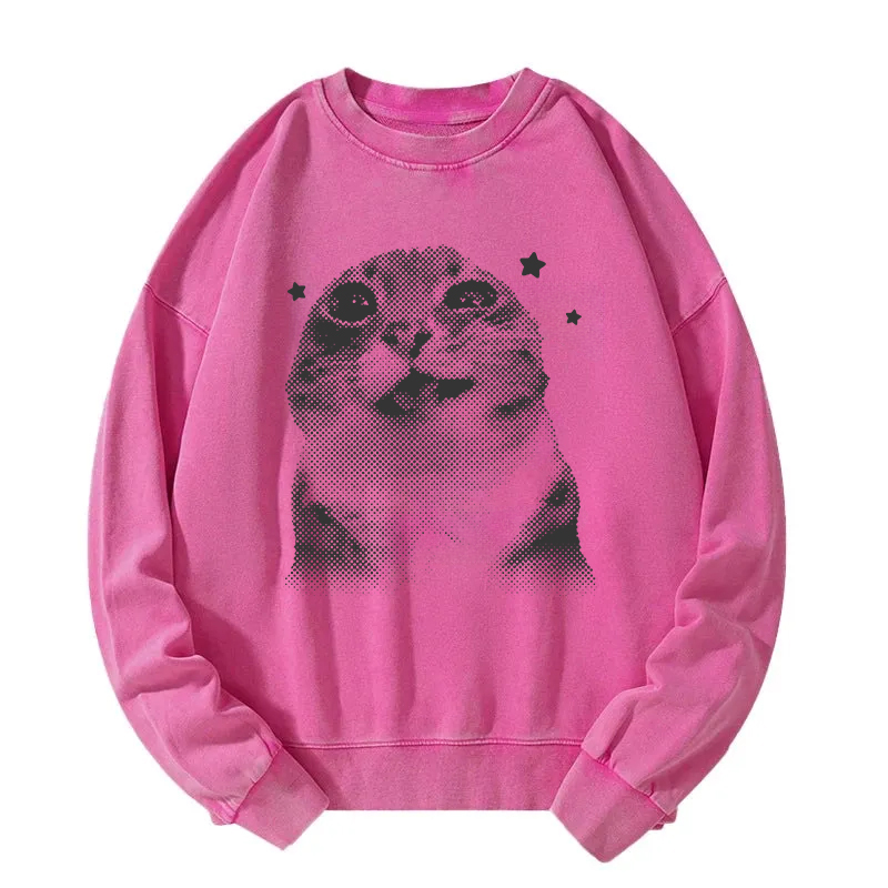 Funny Y2k Retro Cat Meme Washed Sweatshirt
