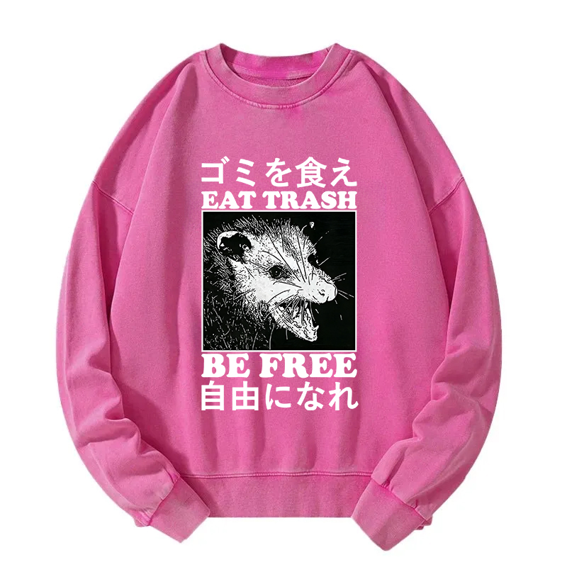 Eat Trash Be Free Washed Sweatshirt