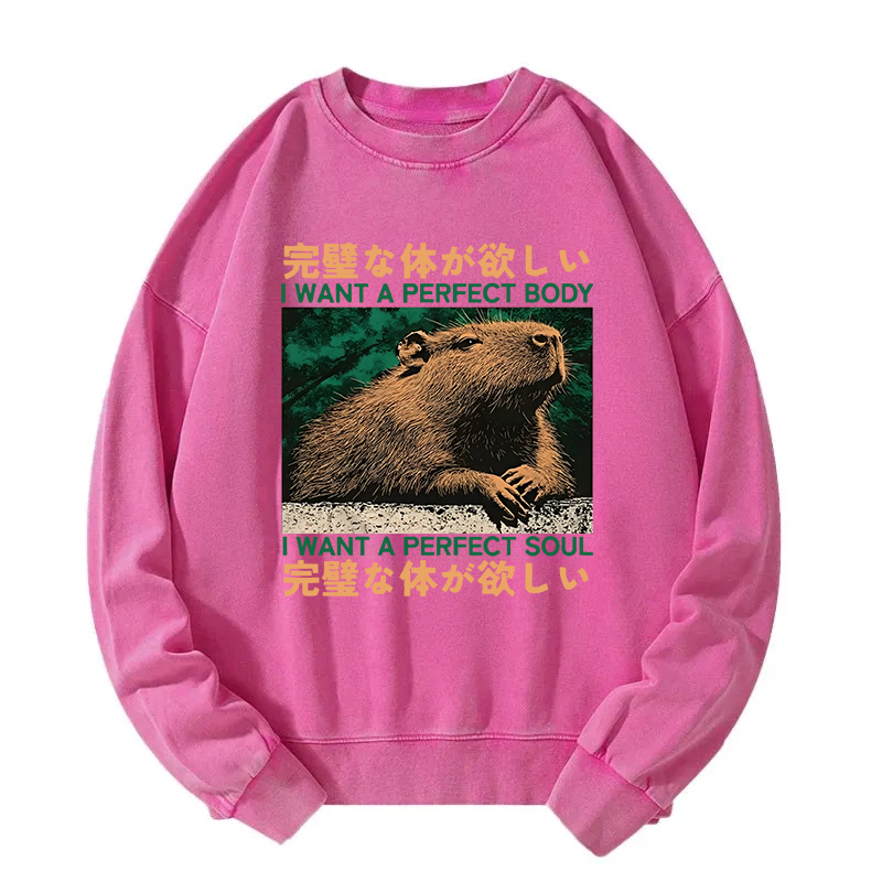 Capybara Wants The Perfect Body Washed Sweatshirt