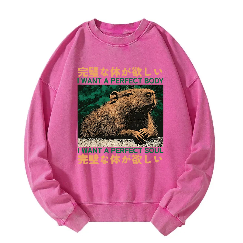 Capybara Wants The Perfect Body Washed Sweatshirt