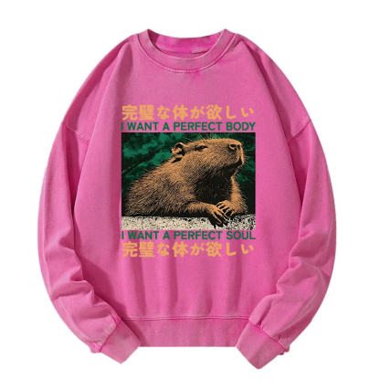 Capybara Wants The Perfect Body Washed Sweatshirt