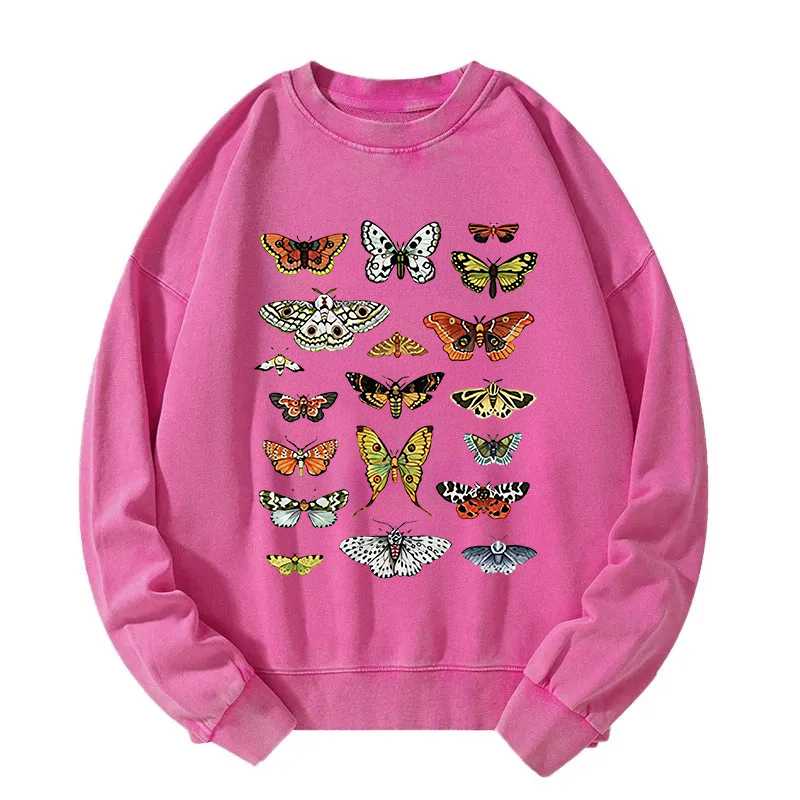 Butterfly History Washed Sweatshirt