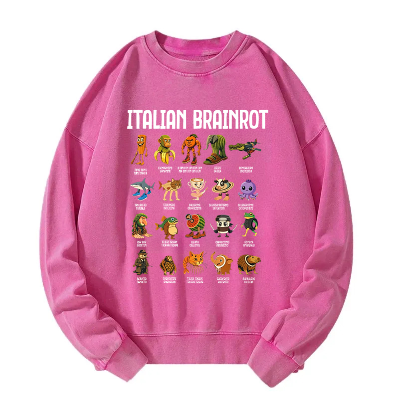 Italian Brainrot Funny Memes Washed Sweatshirt