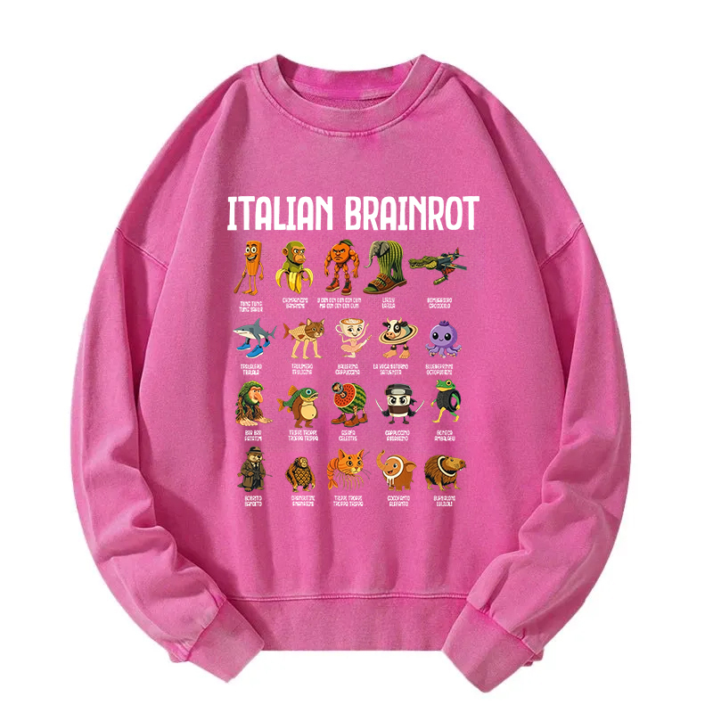 Italian Brainrot Funny Memes Washed Sweatshirt