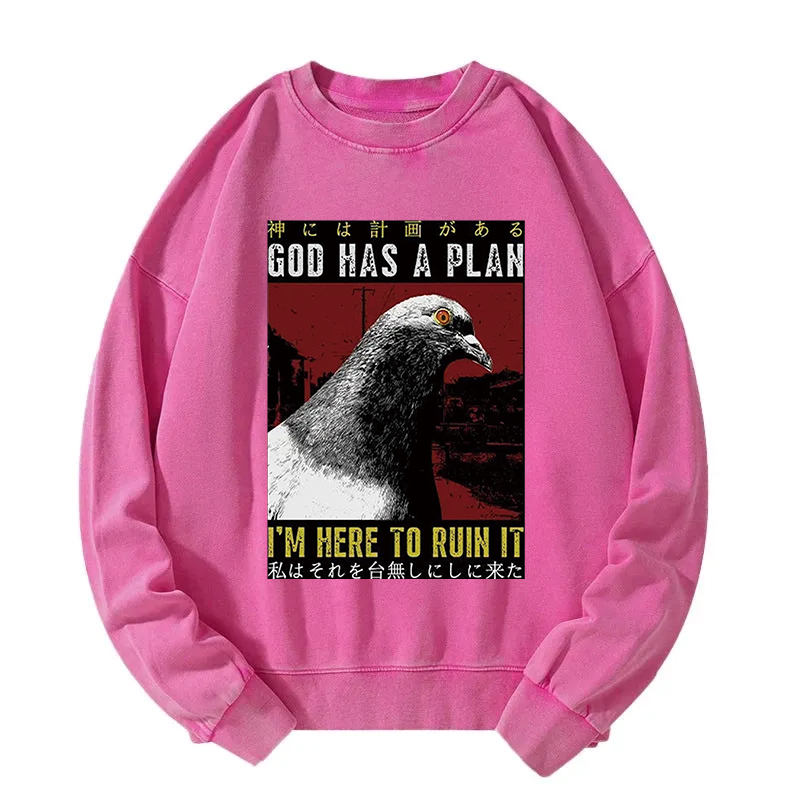Pigeons That Want To Break The Plan Washed Sweatshirt