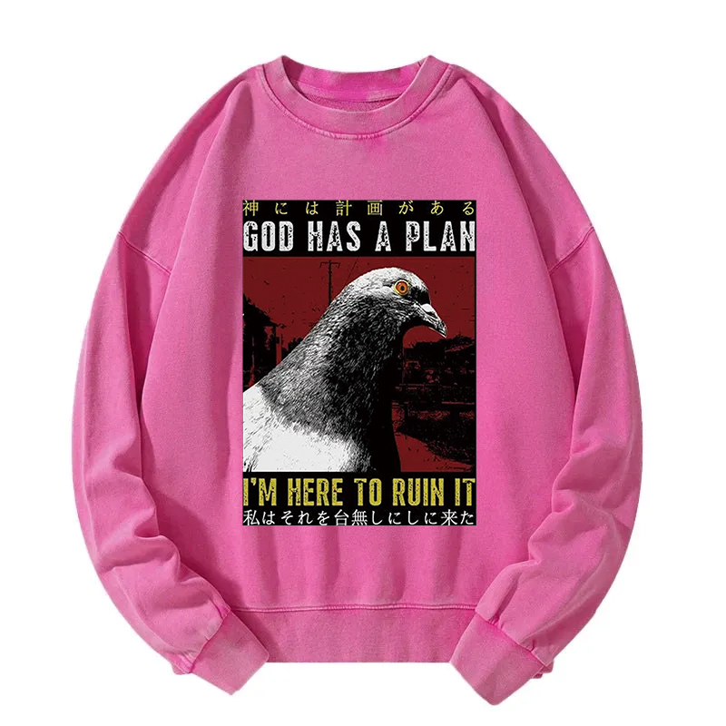Pigeons That Want To Break The Plan Washed Sweatshirt