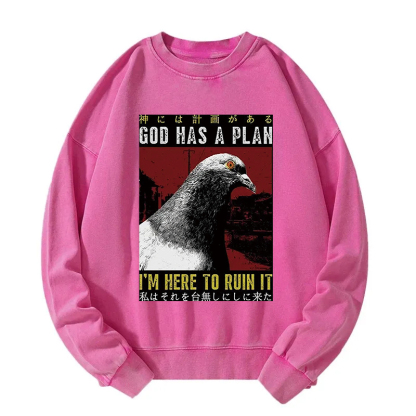 Pigeons That Want To Break The Plan Washed Sweatshirt