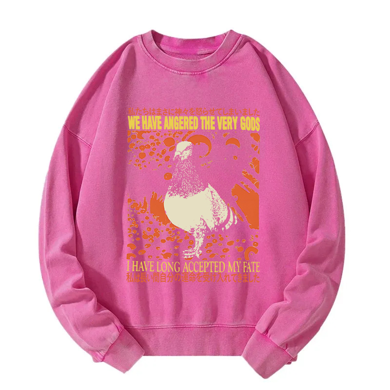 We Have Angered The Very Gods Washed Sweatshirt