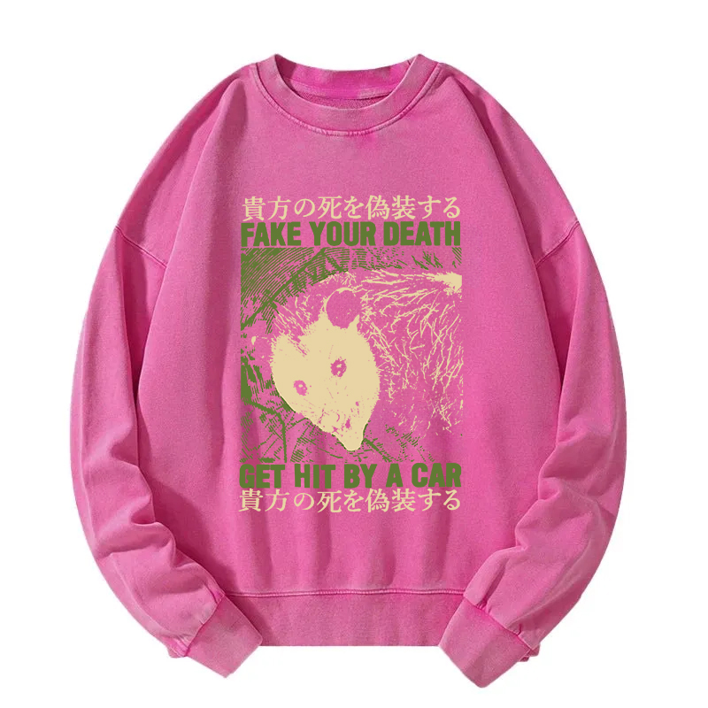 Fake Your Death Opossum Washed Sweatshirt