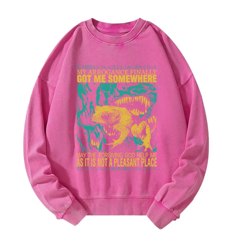 My Arrogance Vintage Japanese Frog Washed Sweatshirt