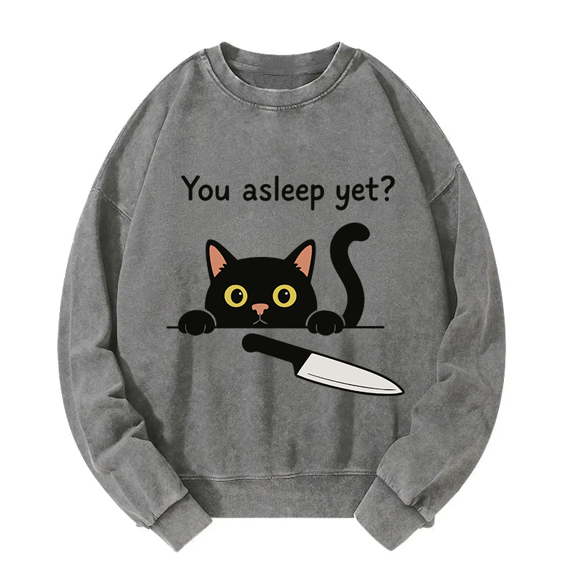 Cat With Murderous Intent Washed Sweatshirt