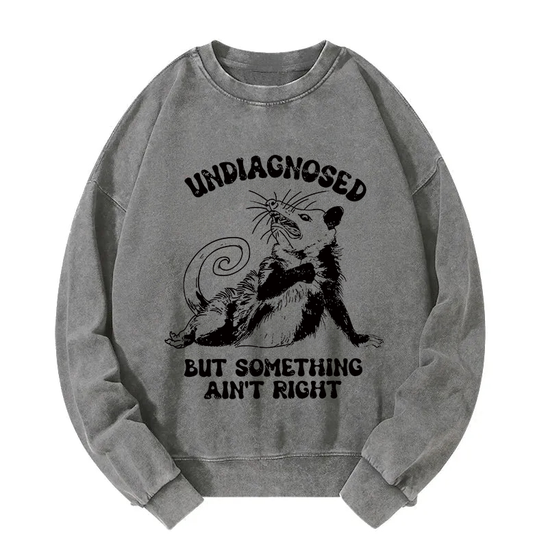 Undiagnosed Mental Health Opossum Washed Sweatshirt