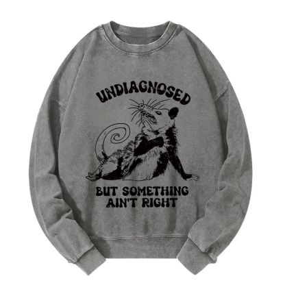 Undiagnosed Mental Health Opossum Washed Sweatshirt