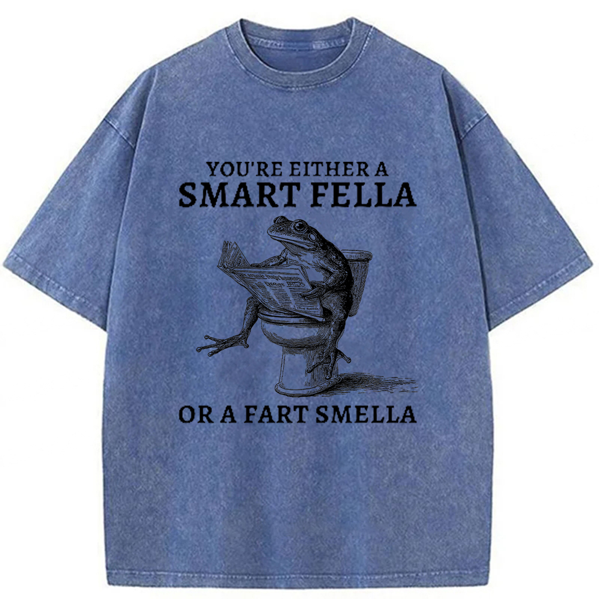 Tokyoviva The Conceited Frog On The Toilet Washed T-shirt