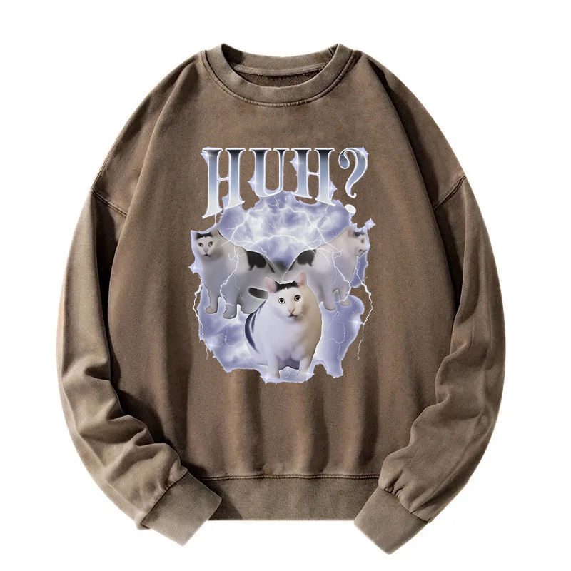 Huh Cat Chonky Ben Meme Washed Sweatshirt