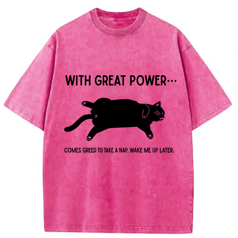 Tokyoviva The Cat Is Sleeping In Washed T-shirt