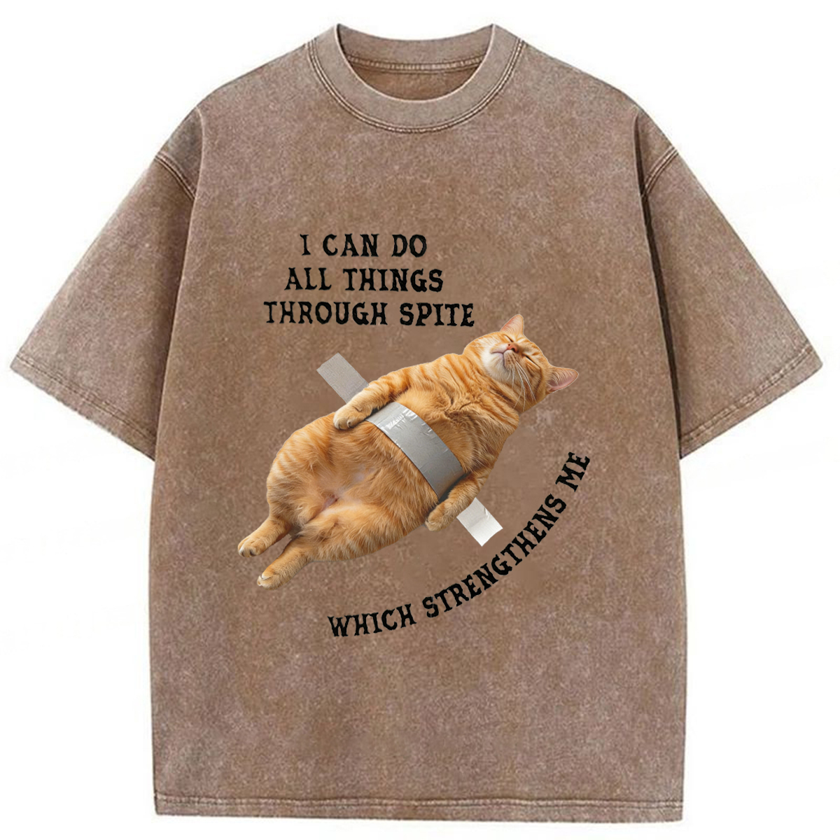 Tokyoviva All-powerful Cat Washed T-shirt
