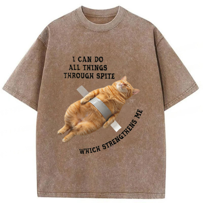 Tokyoviva All-powerful Cat Washed T-shirt