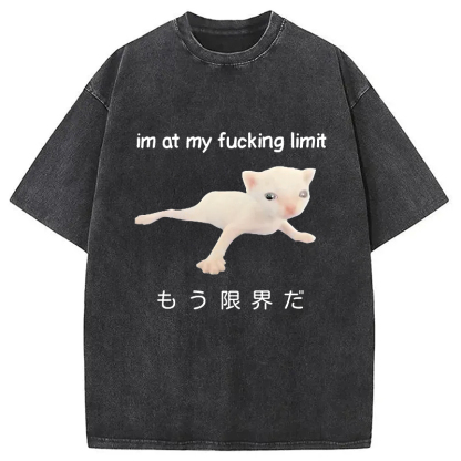 Cat Reaching Its Limit Washed T-Shirt