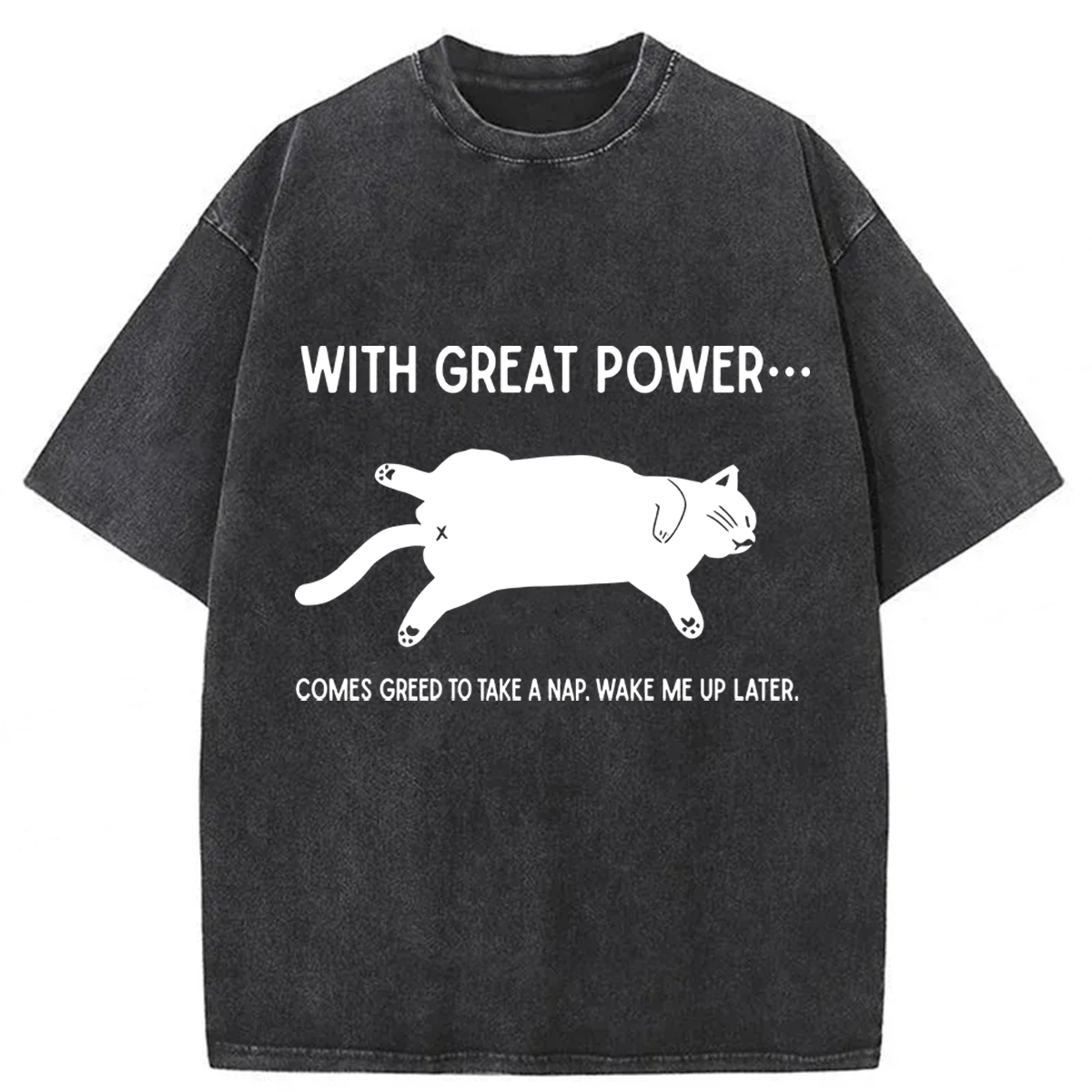 Tokyoviva The Cat Is Sleeping In Washed T-shirt