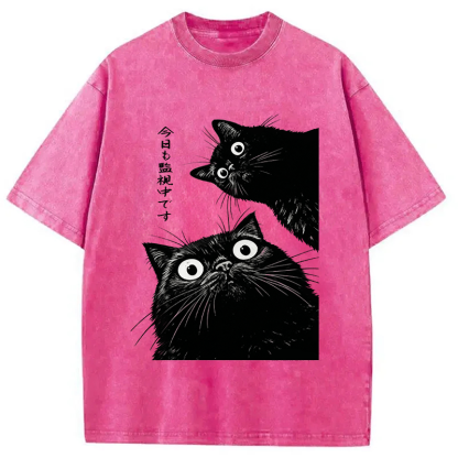 The Cat Is Watching Today Washed T-Shirt