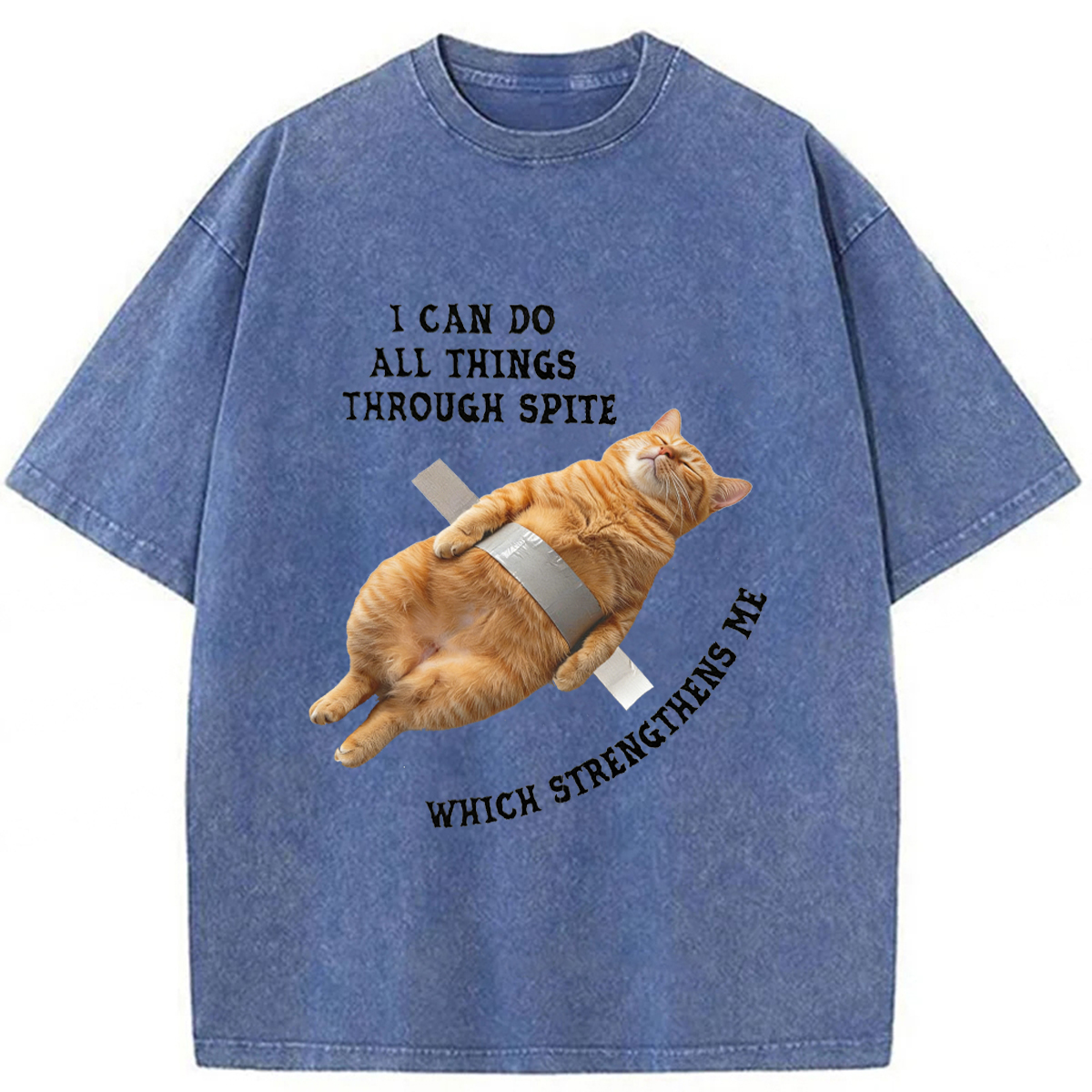 Tokyoviva All-powerful Cat Washed T-shirt